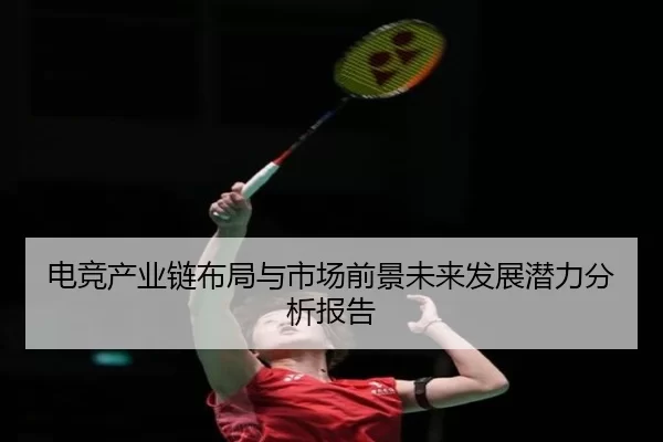 电竞产业链布局与市场前景未来发展潜力分析报告