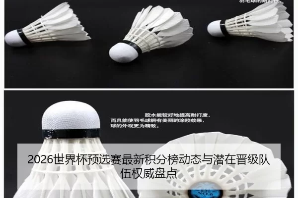 2026世界杯预选赛最新积分榜动态与潜在晋级队伍权威盘点